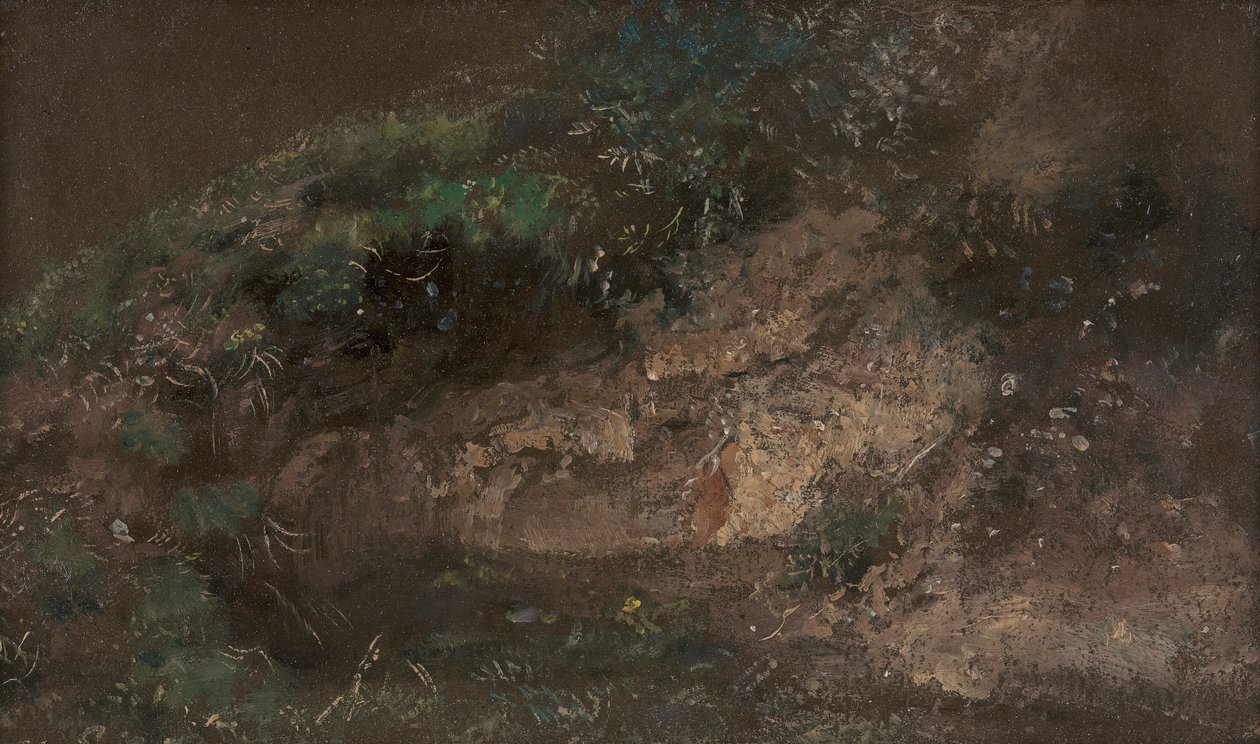 çalılık by John Constable
