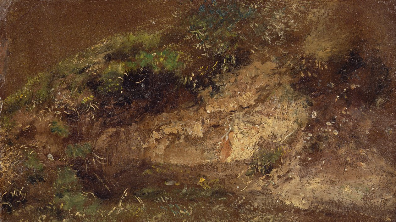 Undergrowth, c.1821 (gemide kağıt üzerine yağlı boya) by John Constable