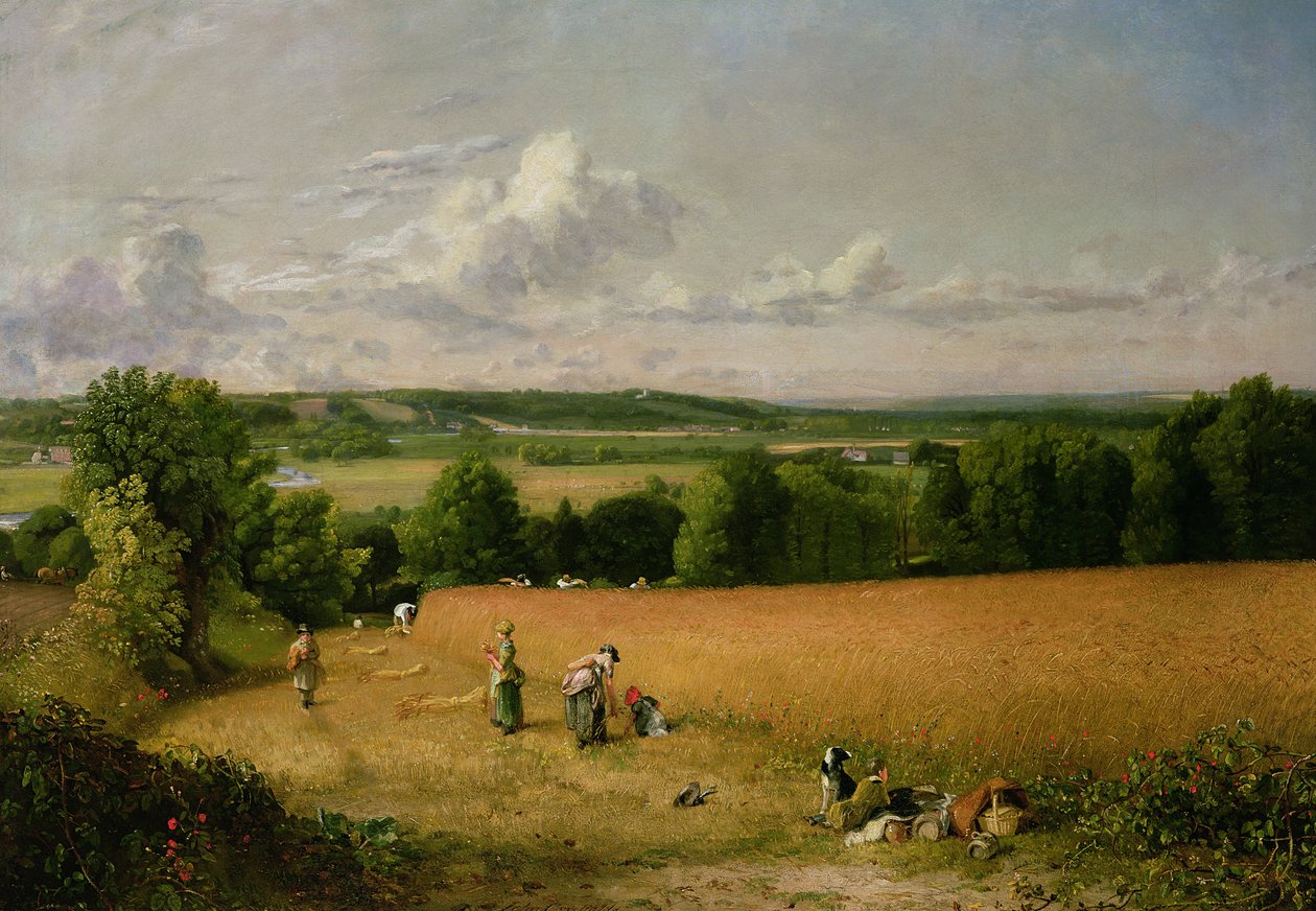Buğday tarlası by John Constable