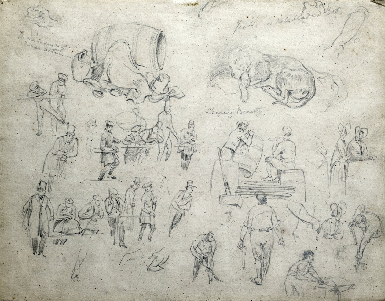 Jack'in beyaz kafalı Bob'u, Uyuyan Güzel, c.1835-38 (kağıt üzerine kalem; bileşik eskiz) by John Cooke Bourne