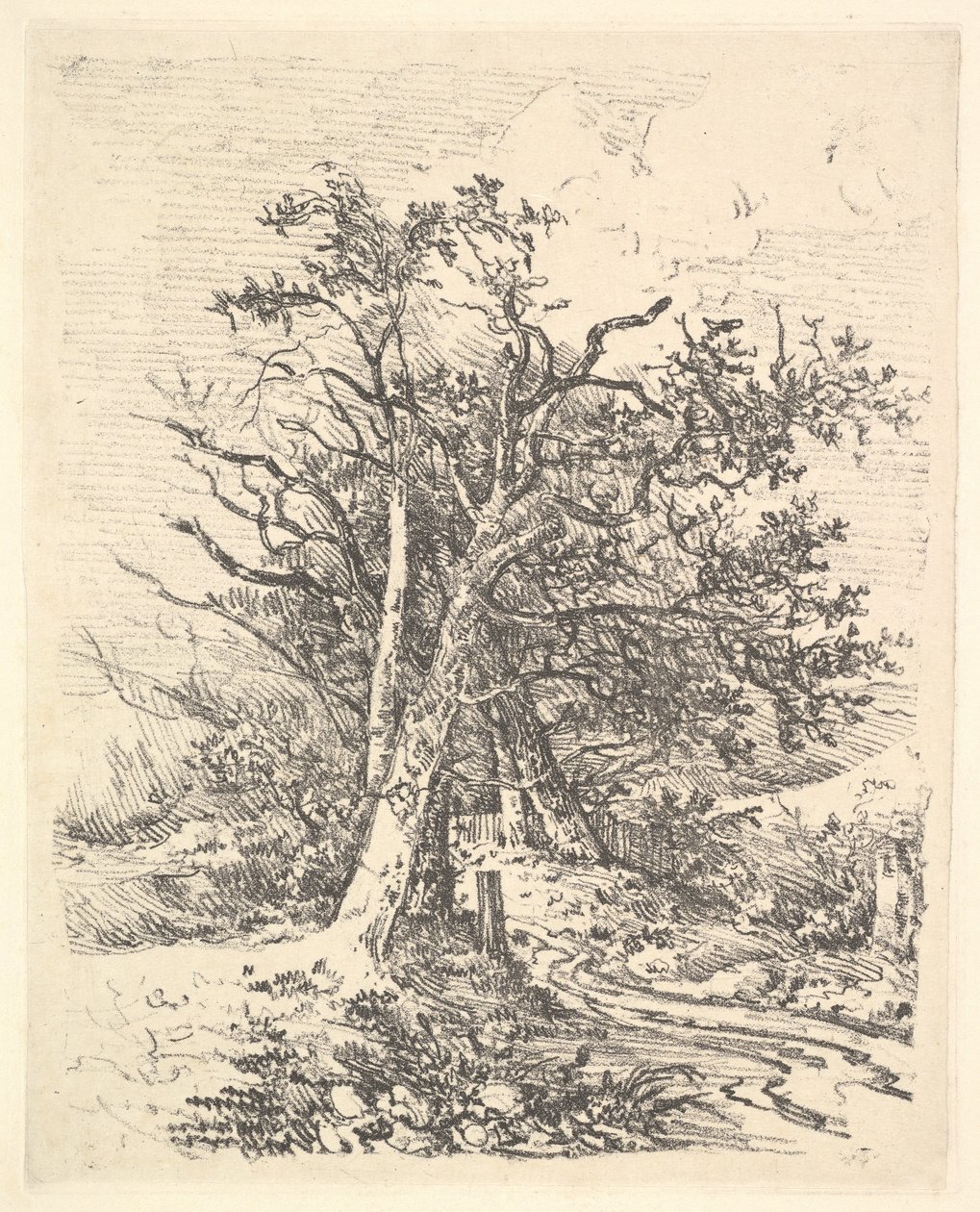 Ağaç Gövdeleri ve Şerit, 1811-13. by John Crome