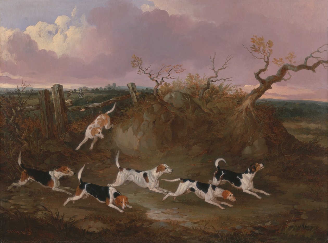 Tam Ağlayan Beagle'lar by John Dalby