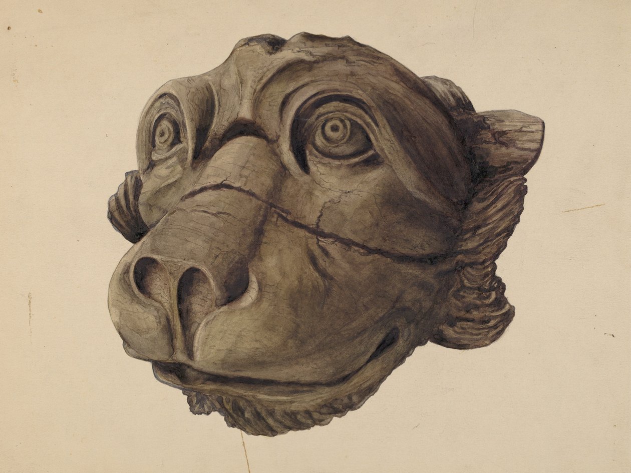 Kedi Kafası Gargoyle by John Davis