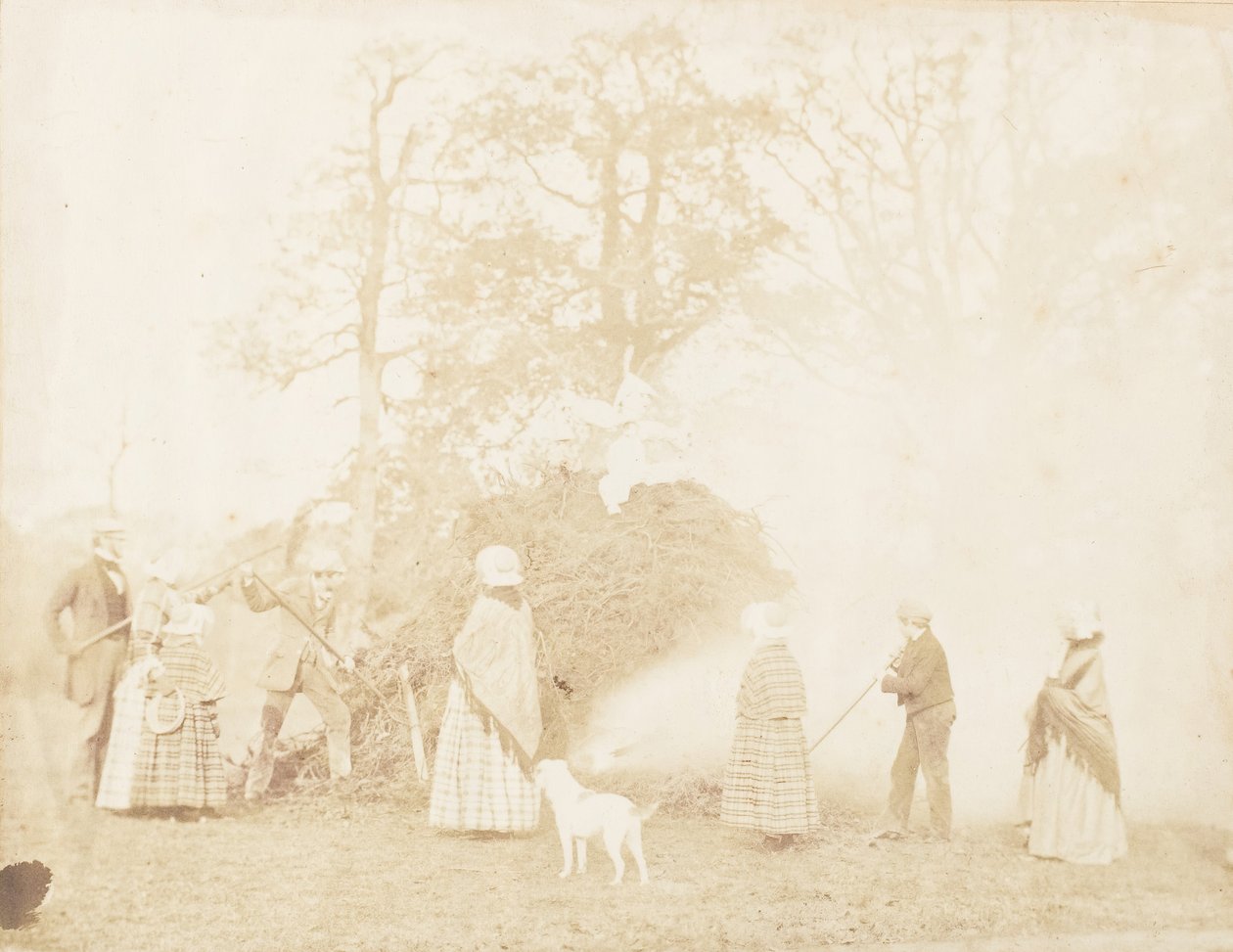 Guy Fawkes, 1853. by John Dillwyn Llewelyn
