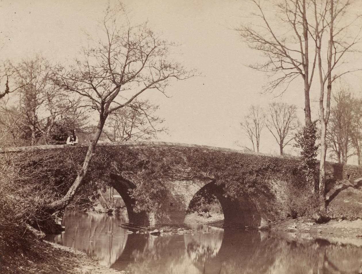 Ülke Köprüsü Staplylton Köprüsü, Bristol, c. 1854-1857. by John Dillwyn Llewelyn