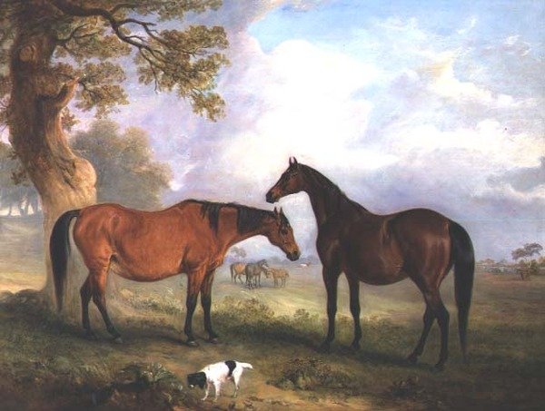 Çimde damızlık Kısraklar by John E. Ferneley