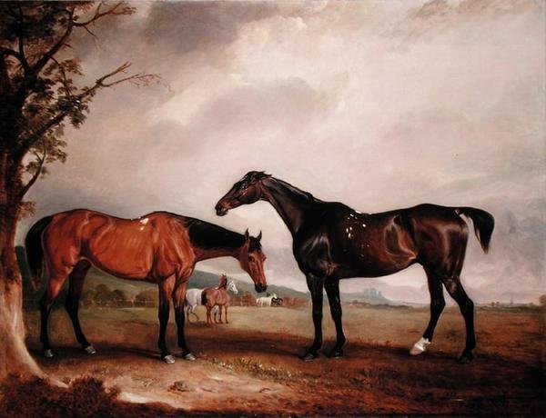 Longford Lass ve Yahudi by John E. Ferneley