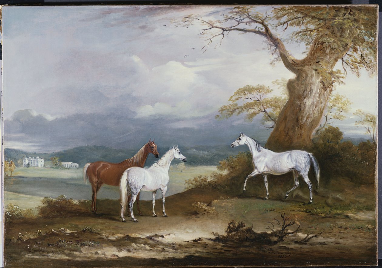 Thorpe Hall, Rudston, Yorkshire, 1836 Arazisinde Lord Macdonald