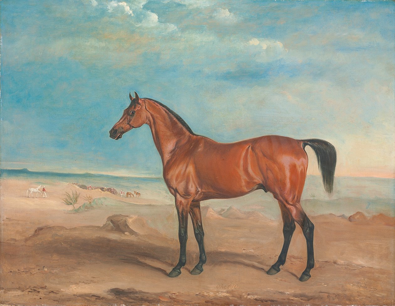 Arap aygırı 'Orelio' çöl manzarası, diğer atlar ve ötesindeki figürler by John E. Ferneley