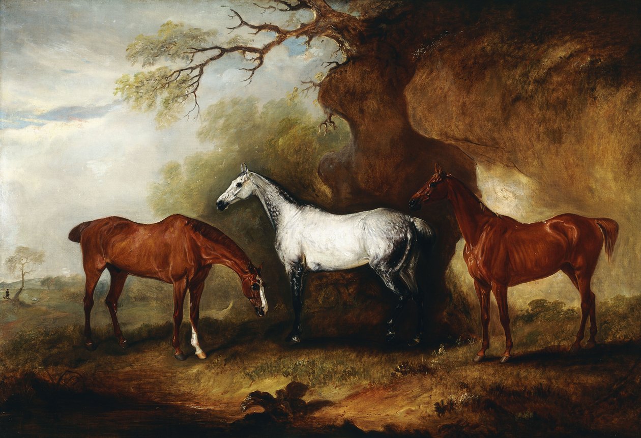 Robert Myddelton-Biddulph