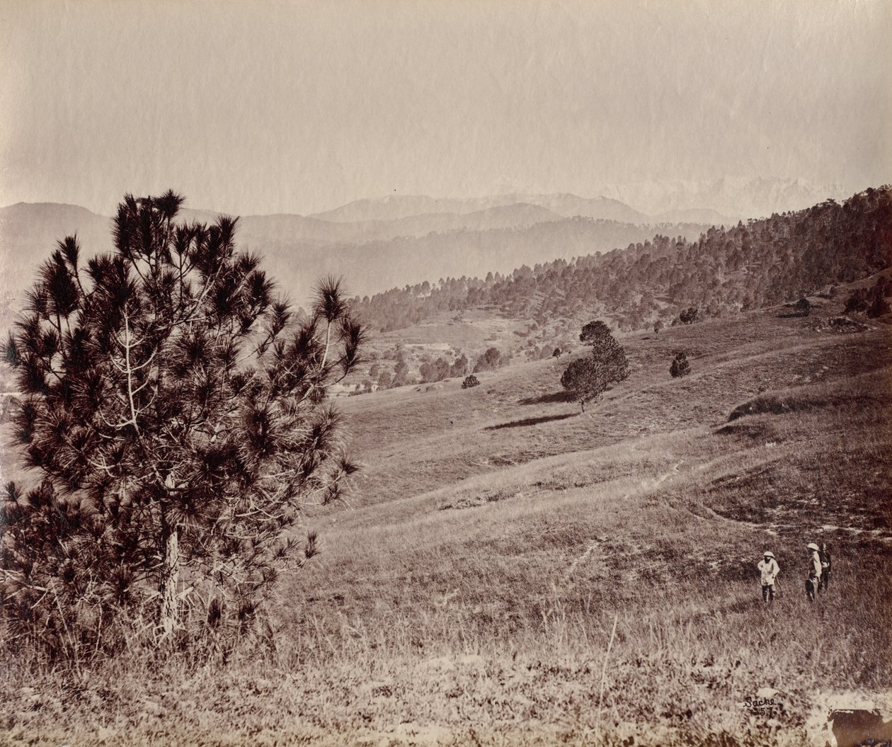 Ağaç ve Üç Adam, Hindistan ile Manzara by John Edward Saché