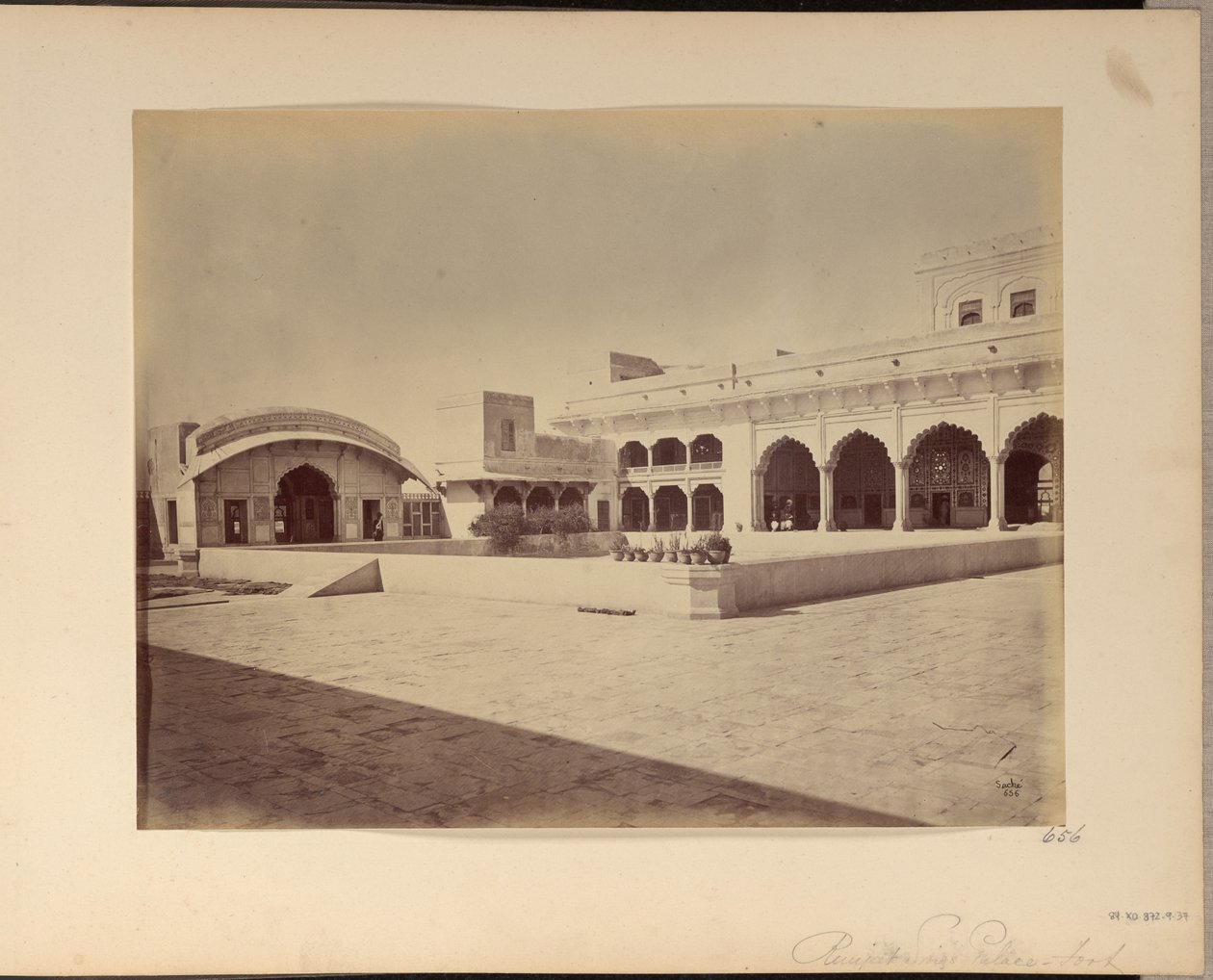  by John Edward Saché