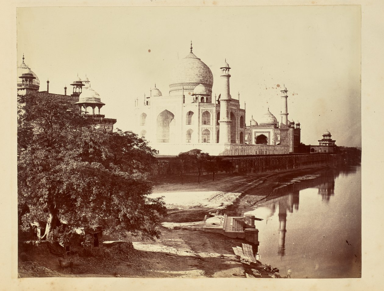  by John Edward Saché