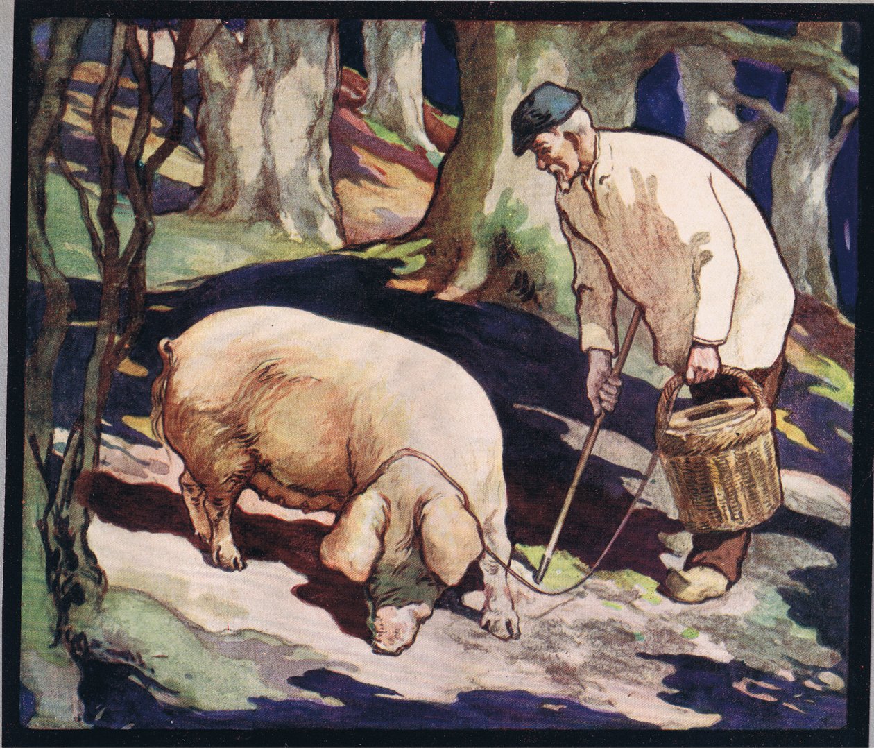 Yer mantarı arayan bir domuz, 1919