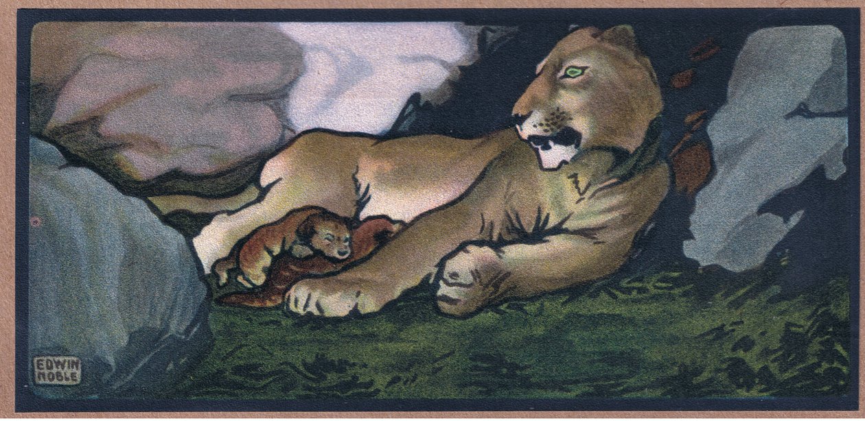 genç aslan by John Edwin Noble