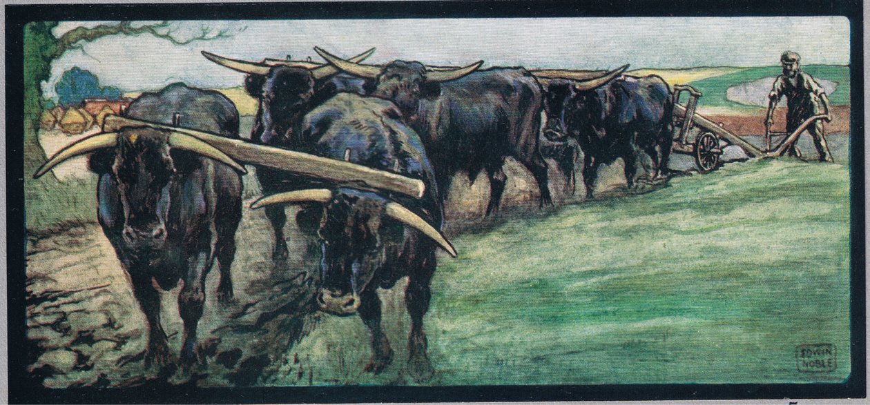 Tarlayı sürmek, 1919