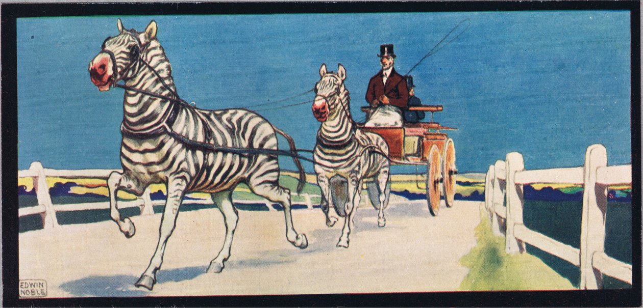 Bir arabayı çeken zebralar, 1919