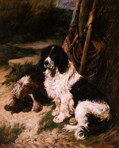 Kahverengi ve Beyaz ve Siyah ve Beyaz Spaniel by John Emms