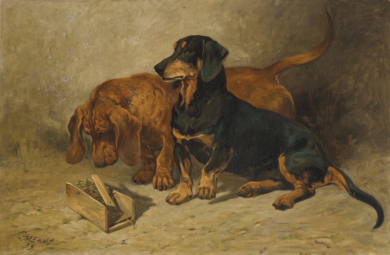 Dachshund, 1993 by John Emms