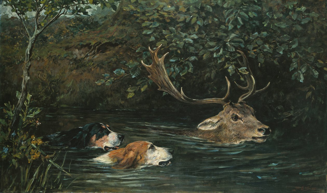 Suya Gitti, 1899 by John Emms