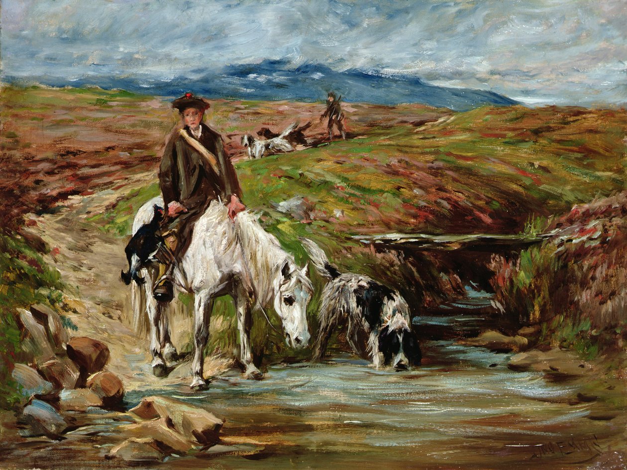 Dereden Su İçen At ve İspanyol by John Emms