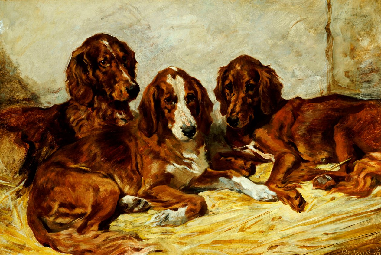 Shot ve Arkadaşları - Üç İrlandalı Kırmızı ve Beyaz Setter, 1876 by John Emms