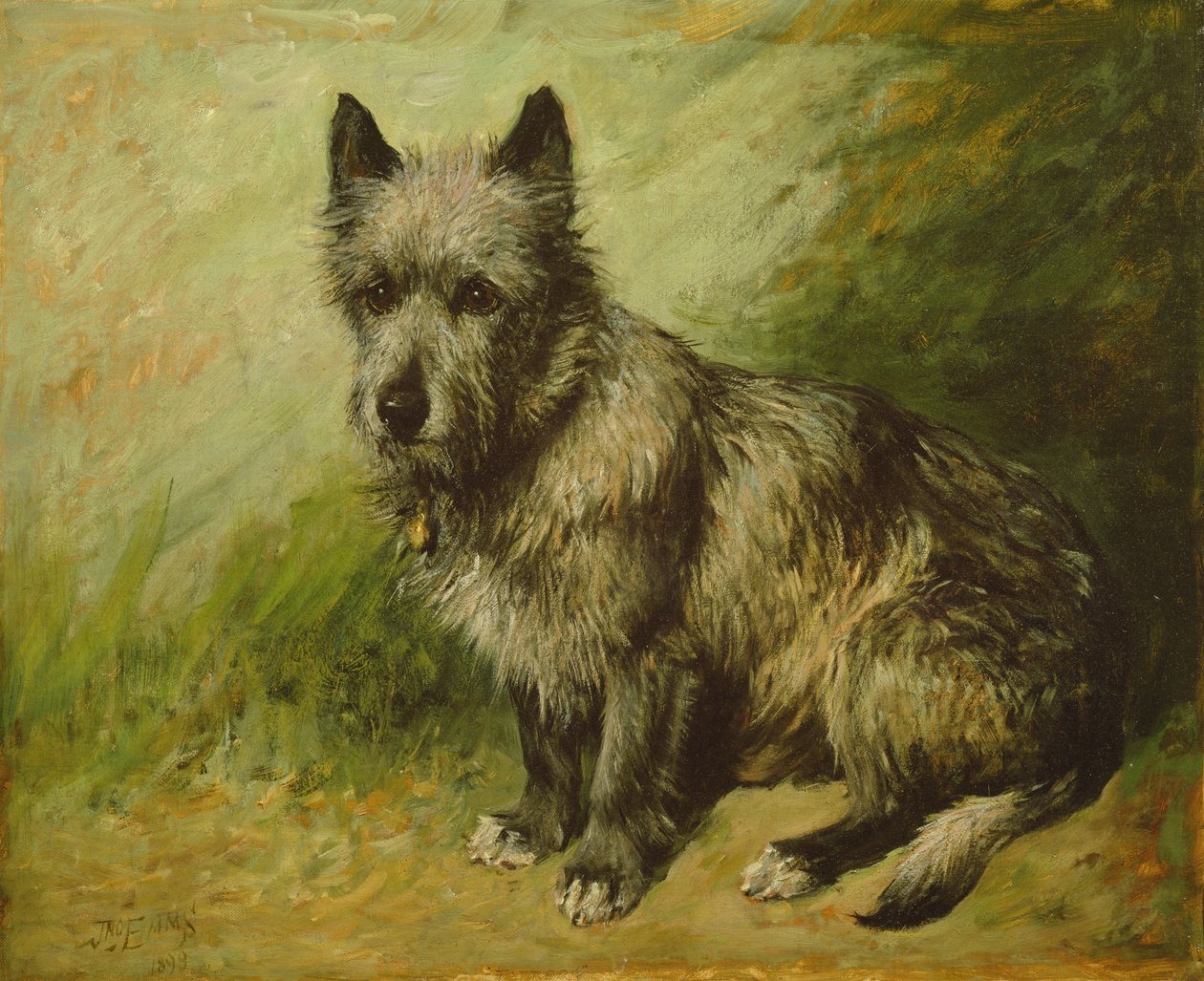 Tatters by John Emms