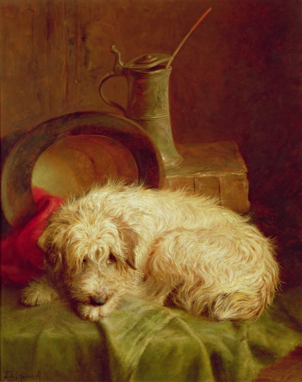 Teriyer by John Fitz Marshall