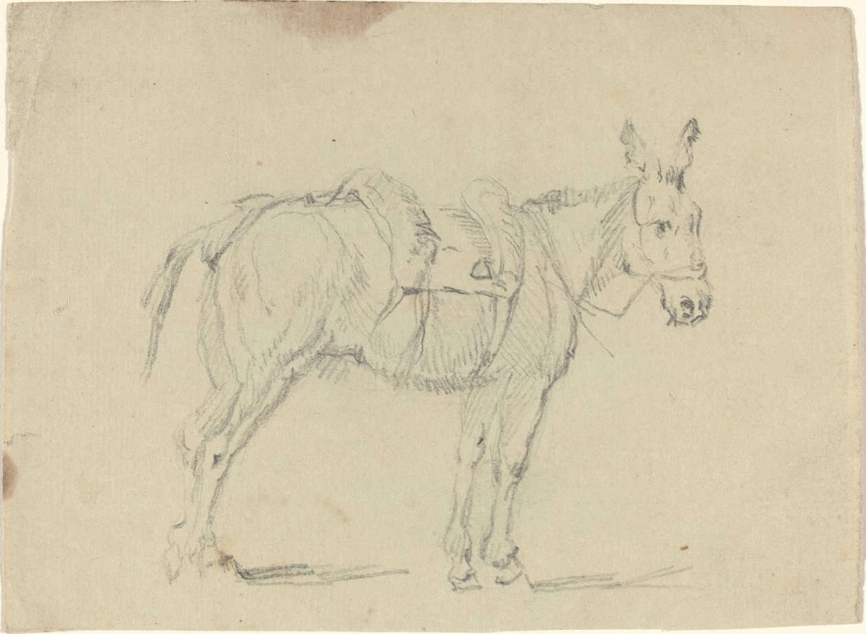 Arka Bacağını Uzatan Eşek by John Flaxman