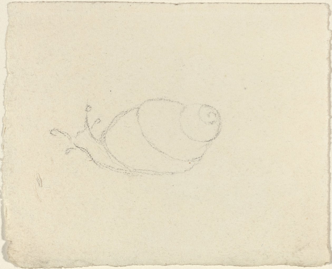 Salyangoz [rekto ve verso] by John Flaxman