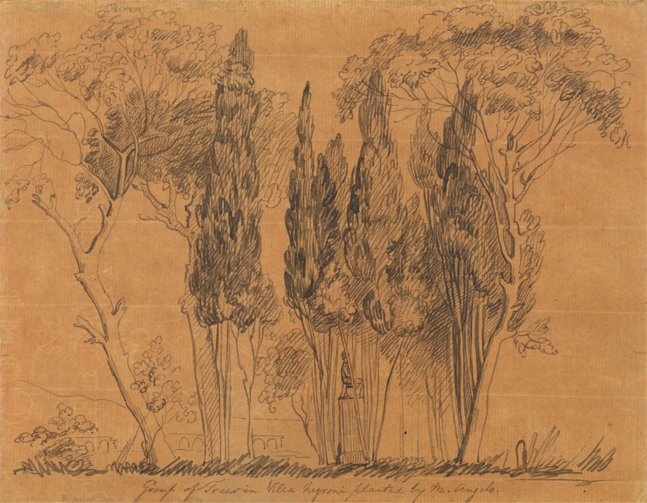 Villa Negroni'de M. Angelo Tarafından Dikilen Ağaçlar by John Flaxman