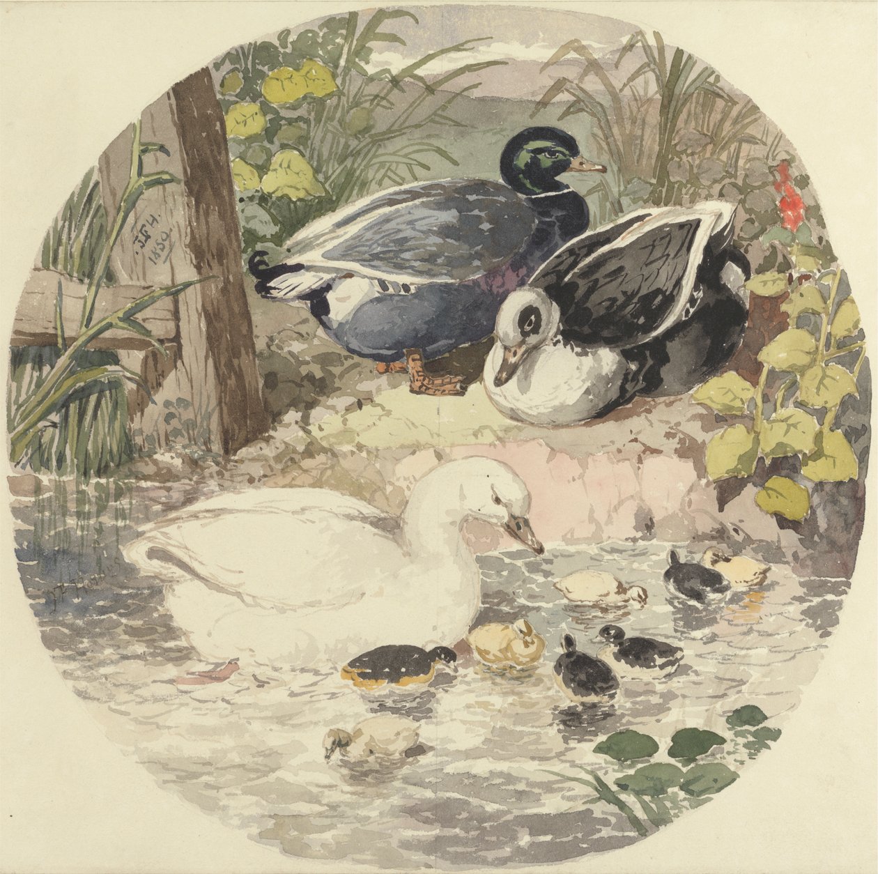 ördekler by John Frederick Herring