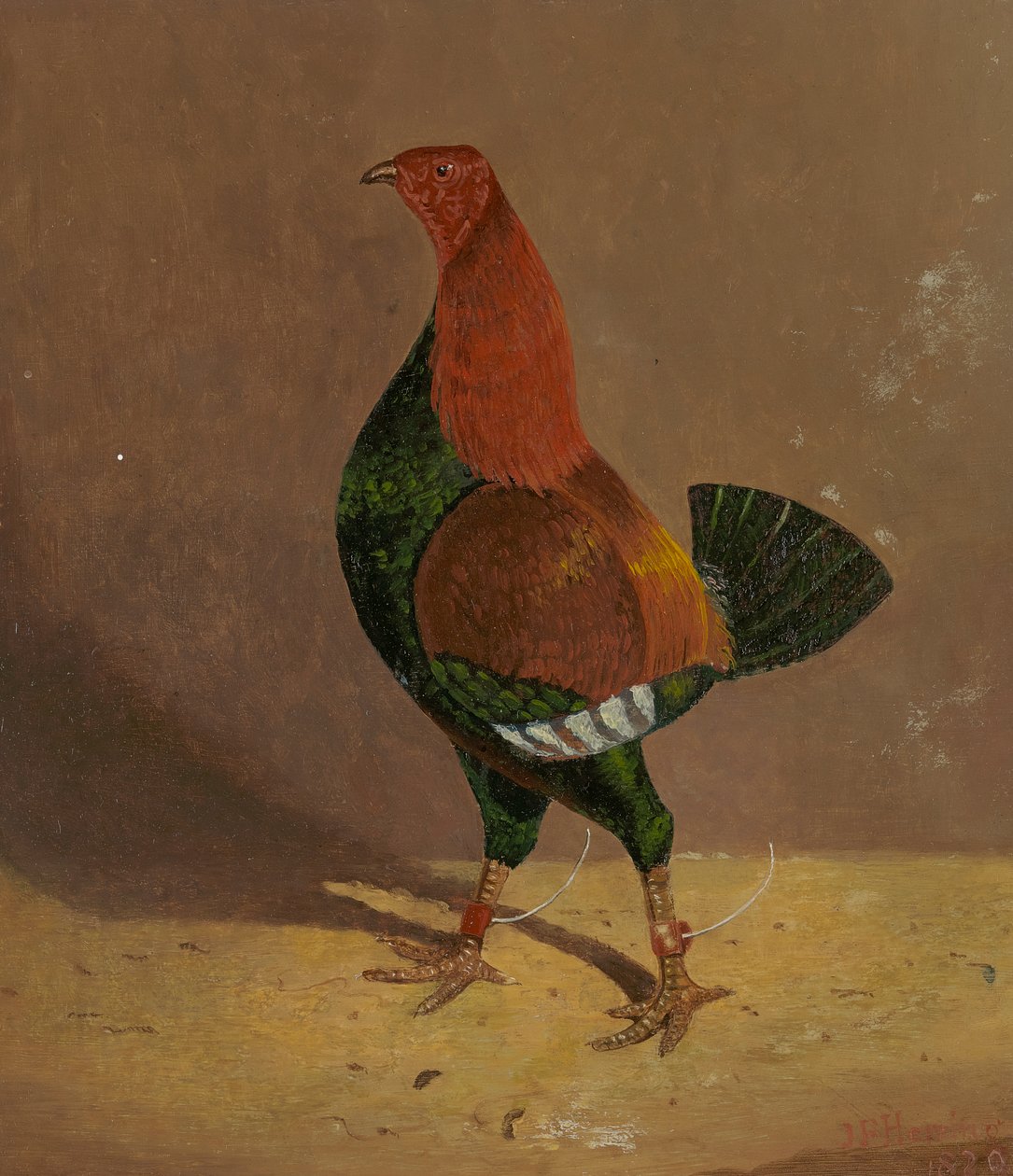 Dövüşen Horozlar: Koyu Göğüslü Dövüşen Horoz, Sola Bakan by John Frederick Herring