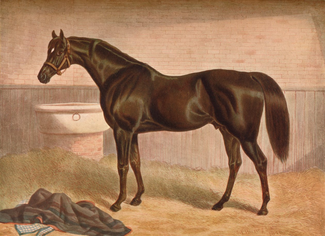 Gladyatör, 19. yüzyıl, 1903 by John Frederick Herring I