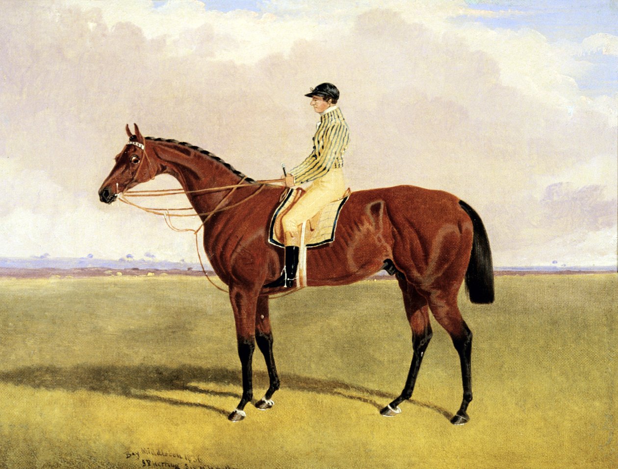 Robinson ile 