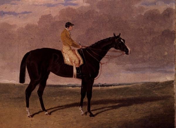 Queen of Trumps, jokeyli bir defne yarış atı by John Frederick Herring Jnr
