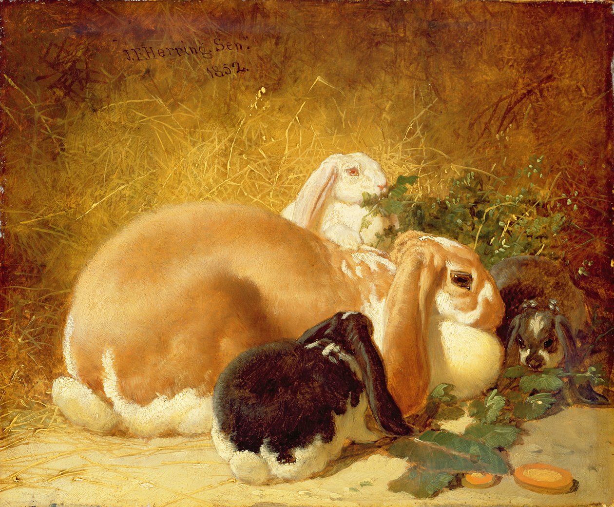 Tavşanlar, 1852 by John Frederick Herring Junior