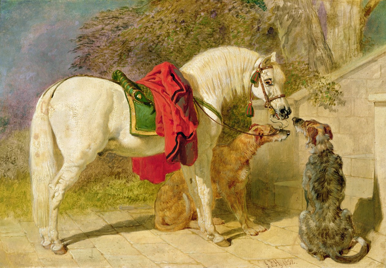 Squire