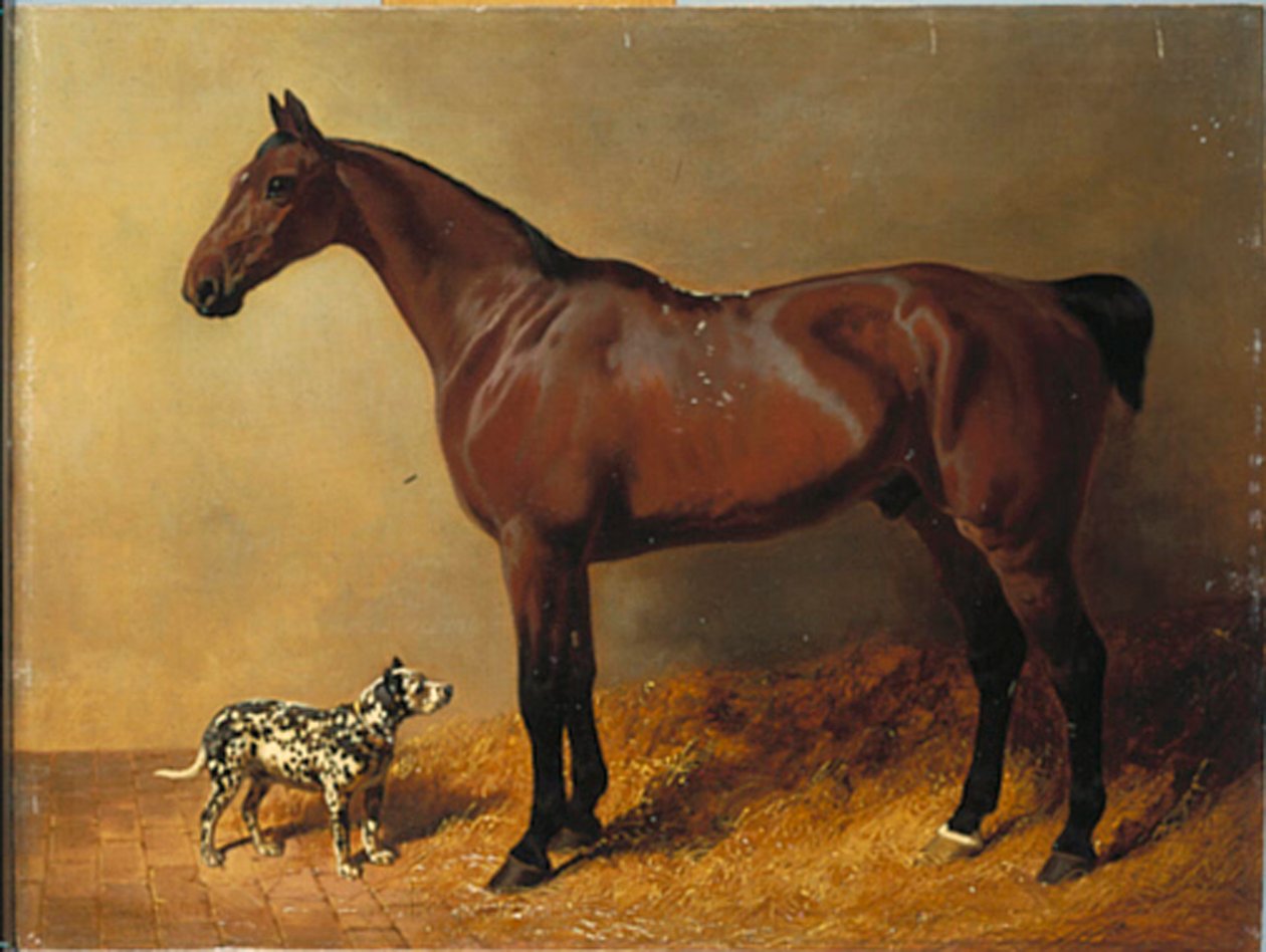 Kararlı Bir İç Mekanda Bir Körfez Avcısı ve Benekli Bir Köpek, 1846 by John Frederick Herring Senior