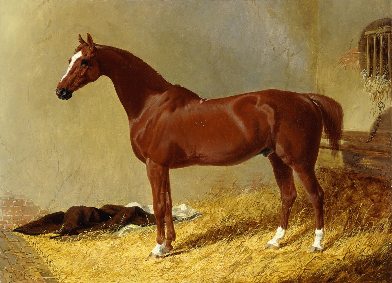 Bir Durakta Bir Körfez Yarış Atı, 1843 by John Frederick Herring Senior