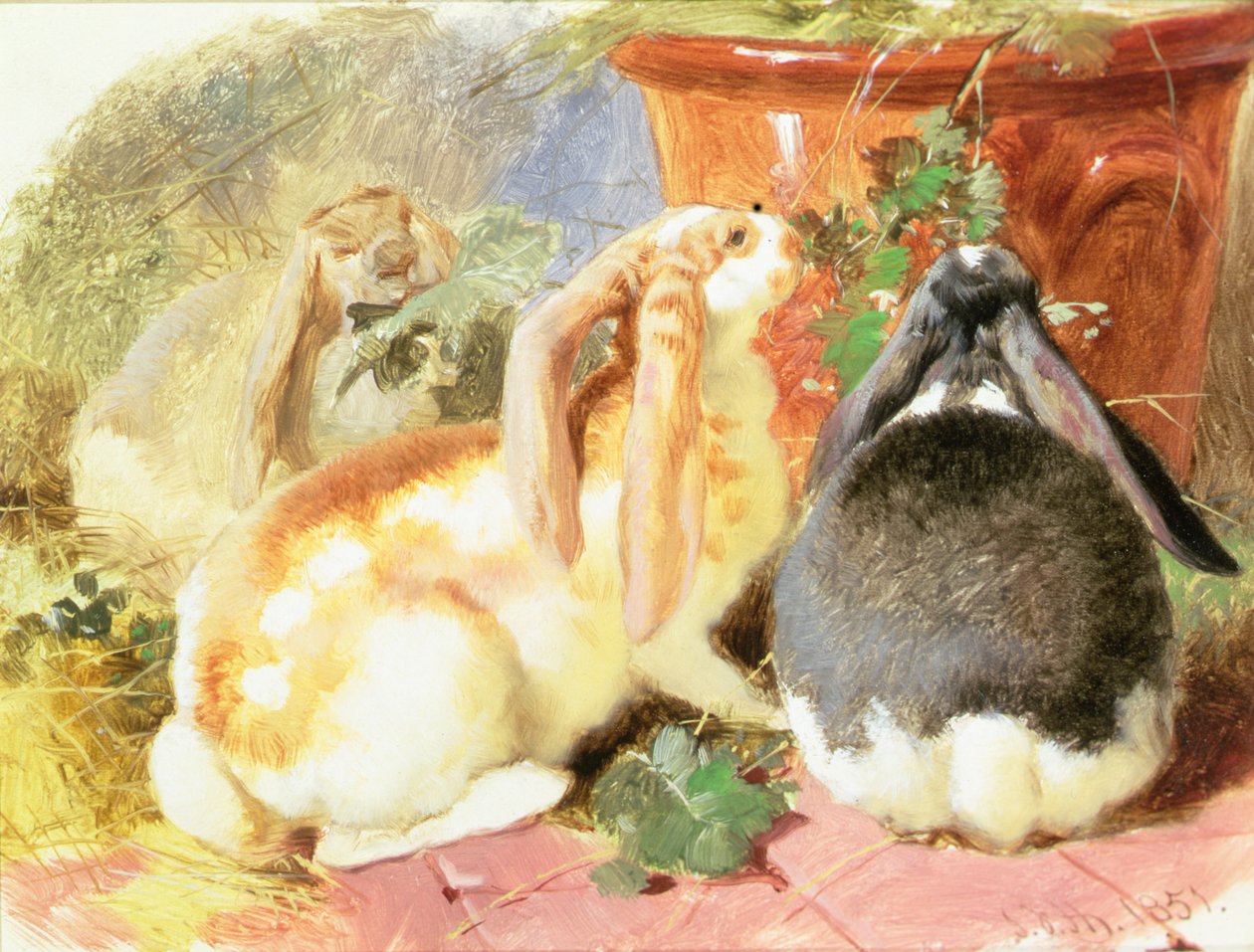 Üç Kıvrık Kulaklı Tavşan Üzerine Bir Araştırma by John Frederick Herring Senior