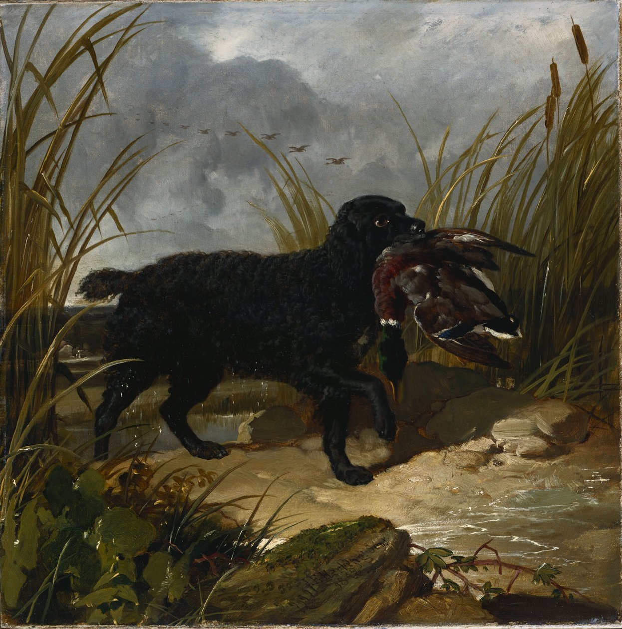 Bir İrlandalı Su Spaniel Yeşilbaş Ejderhasını Alırken, 1849 by John Frederick Herring Senior