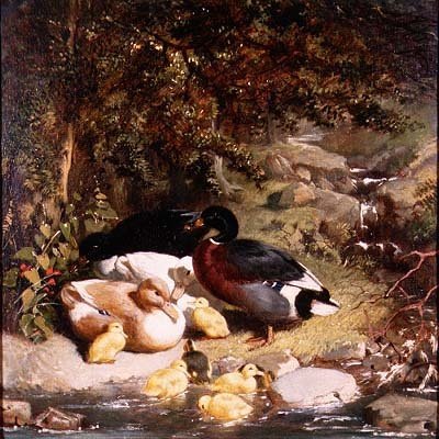 Ördekler ve Ördek Yavruları by John Frederick Herring Senior