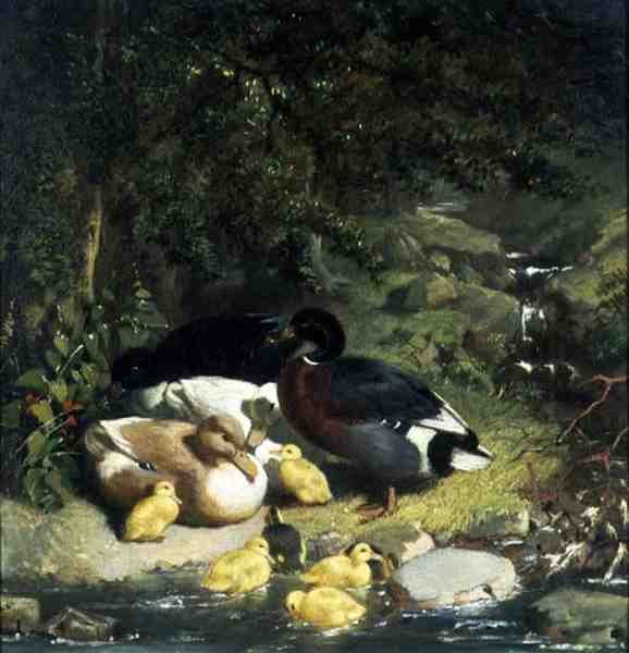 Ördekler ve Ördek Yavruları by John Frederick Herring Senior