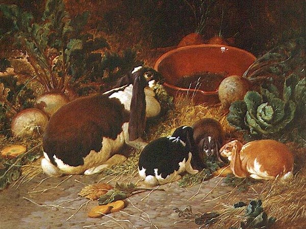 Süslü Tavşanlar, Yavrusu ile Bir Doe by John Frederick Herring Senior