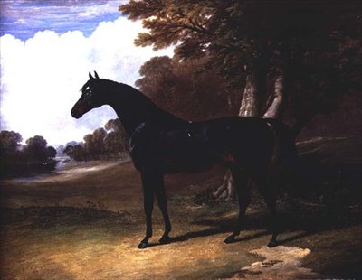 Gaucus, ağaçlık bir arazide koyu renkli bir defne atı (tuval üzerine yağlı boya) by John Frederick Herring Senior
