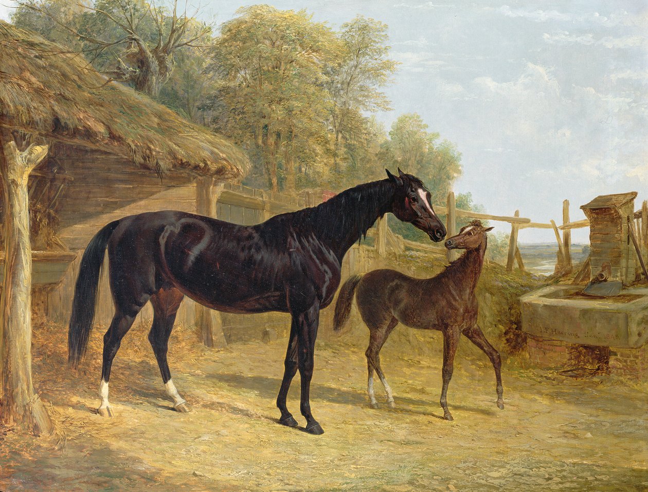 Levity, J.C.Cockerill Esq.