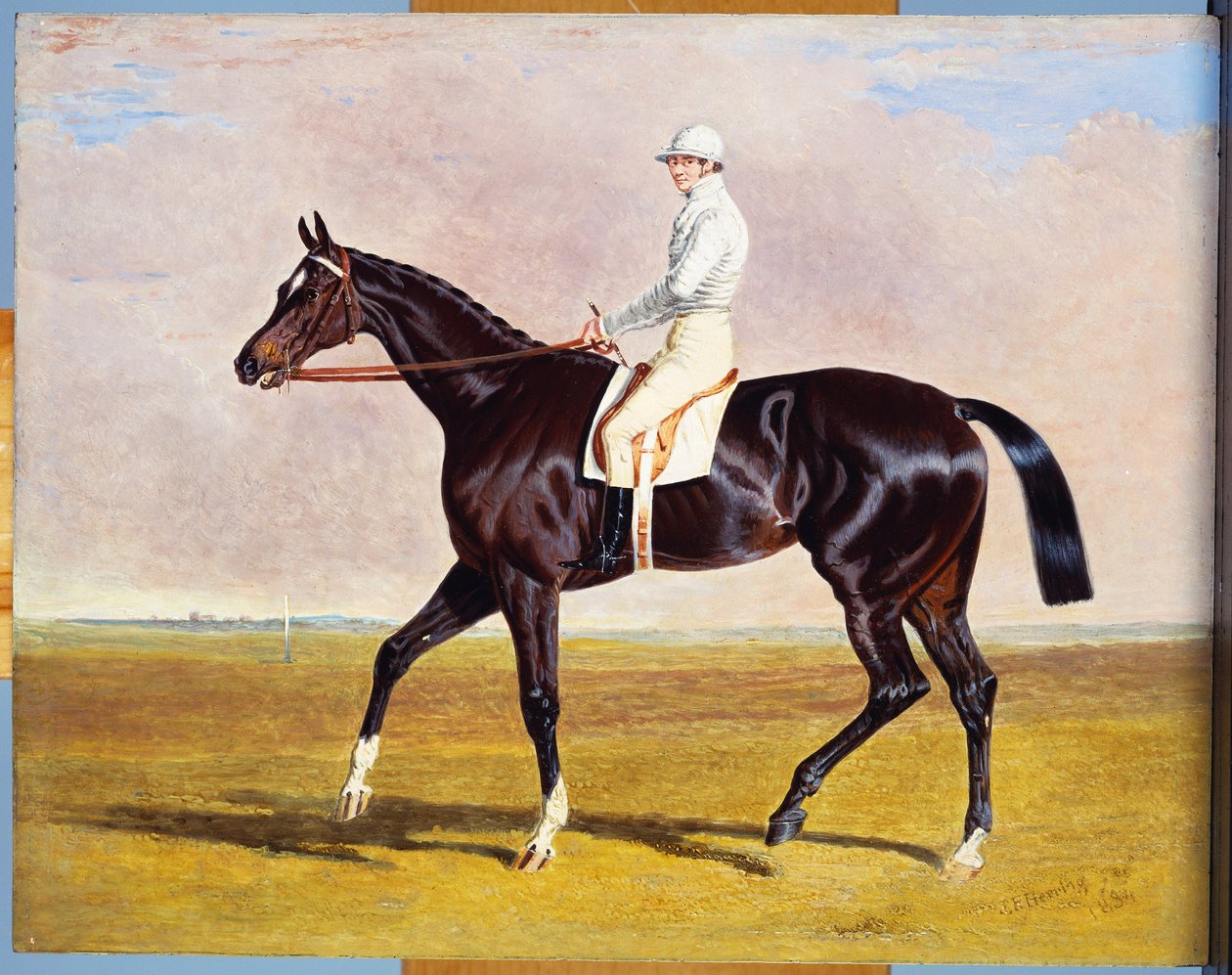 Lucetta" ile J. Robinson Up, 1834 by John Frederick Herring Senior