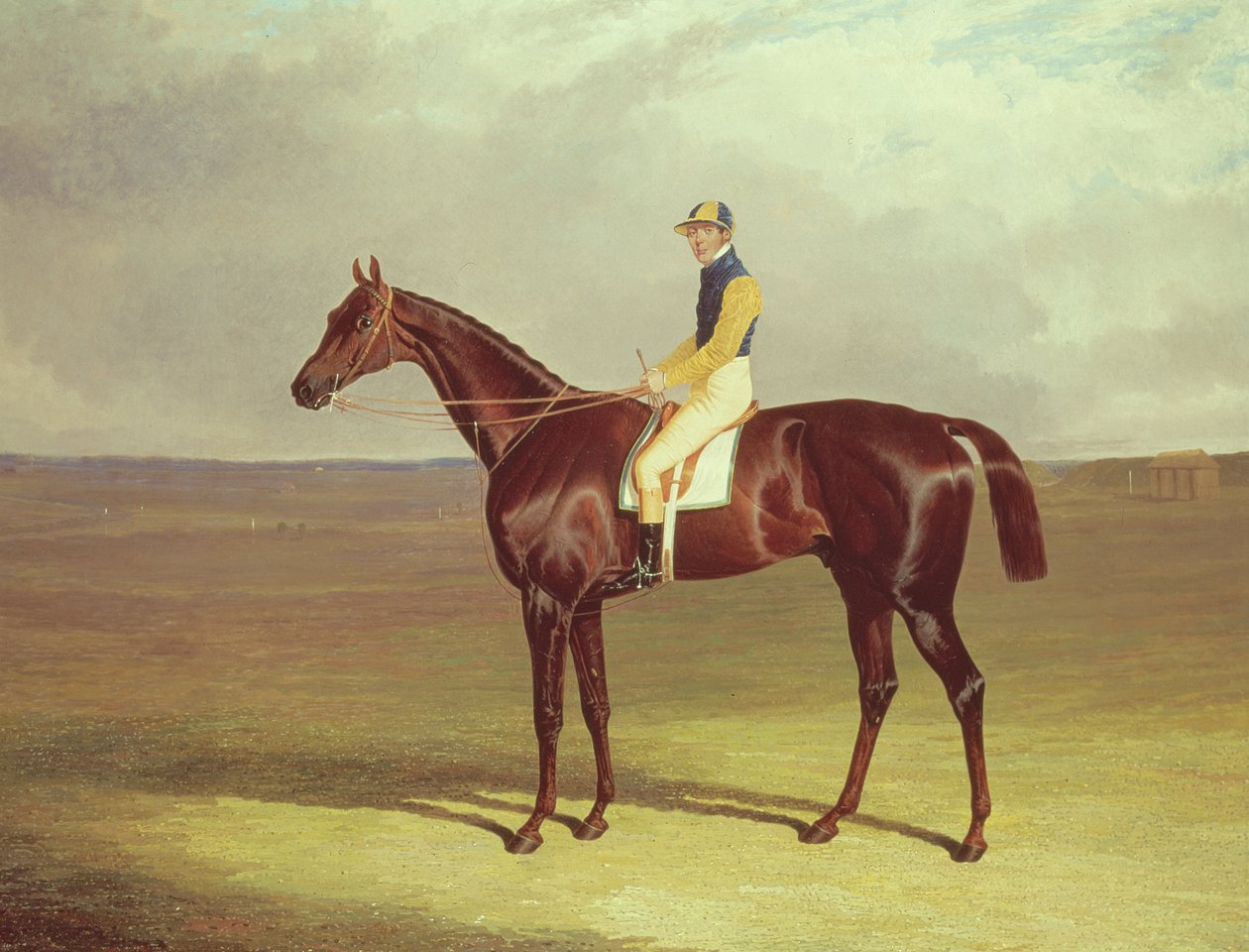 Newmarket Heath üzerinde Bay M. Stanleys Koltuk Değneği, 1833 by John Frederick Herring Senior