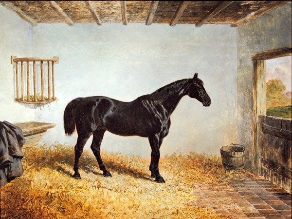 Ahırda duran bir aygırın portresi (panelde yağ) by John Frederick Herring Senior